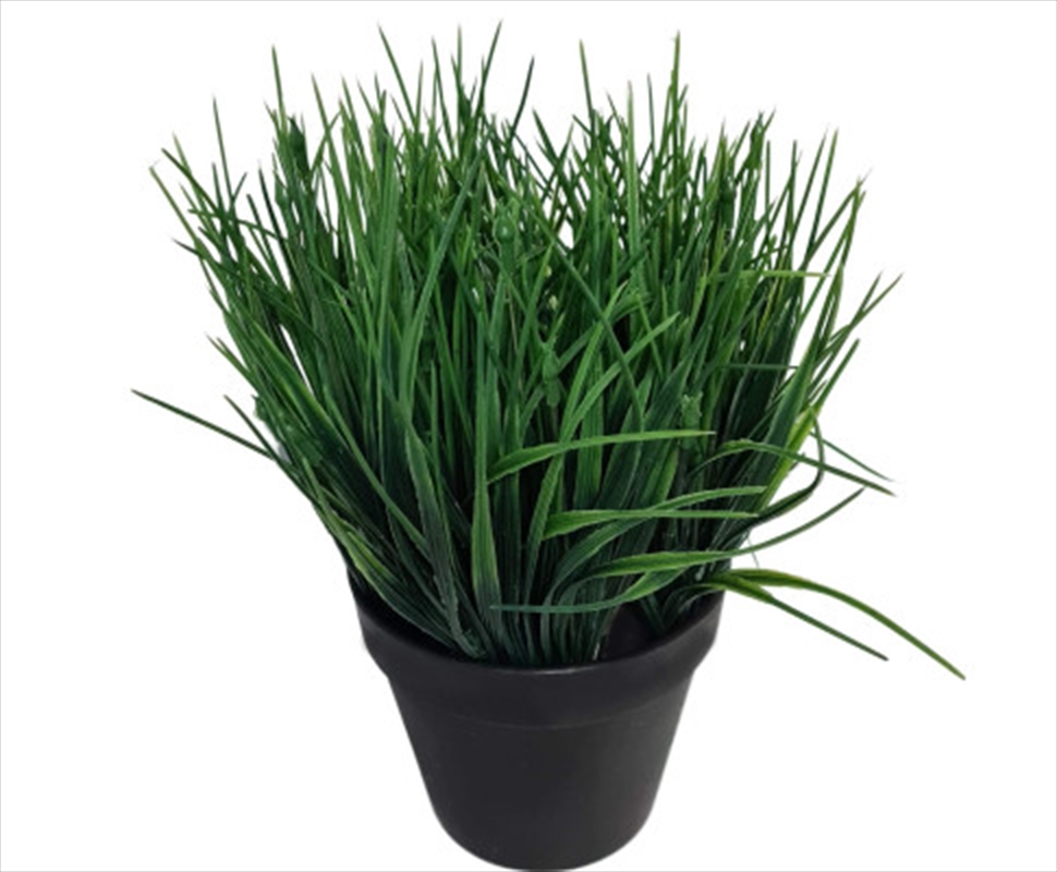 Ornamental Potted Dense Green Grass UV Resistant 30cm/Product Detail/Sport & Outdoor