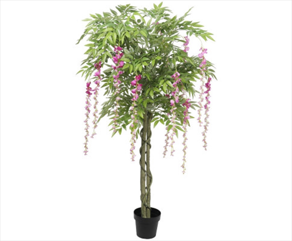 Pink Flowering Wisteria 180cm/Product Detail/Sport & Outdoor