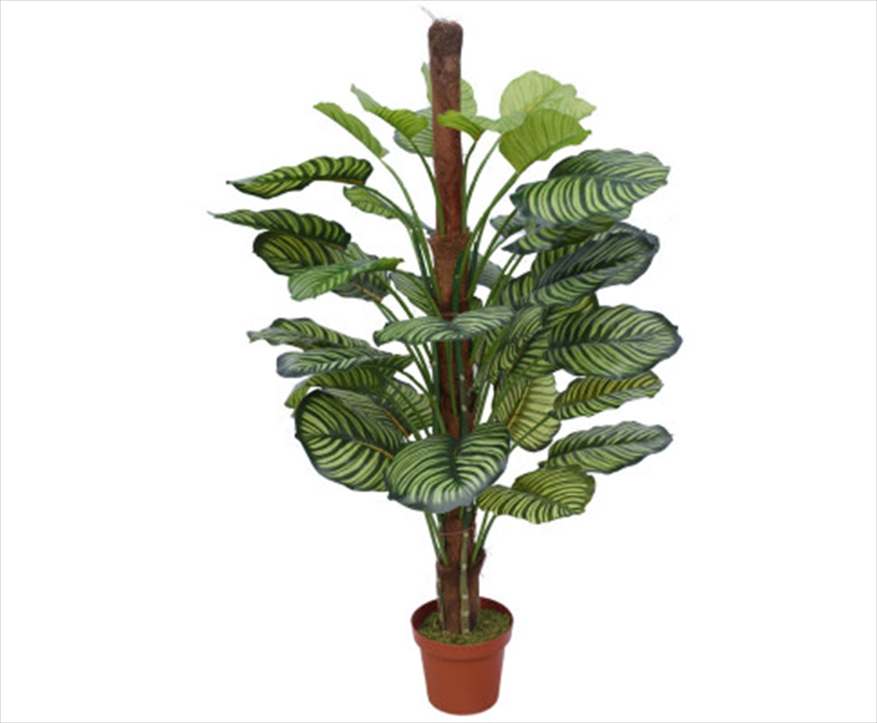 Pond Leaf Plant 110cm/Product Detail/Sport & Outdoor