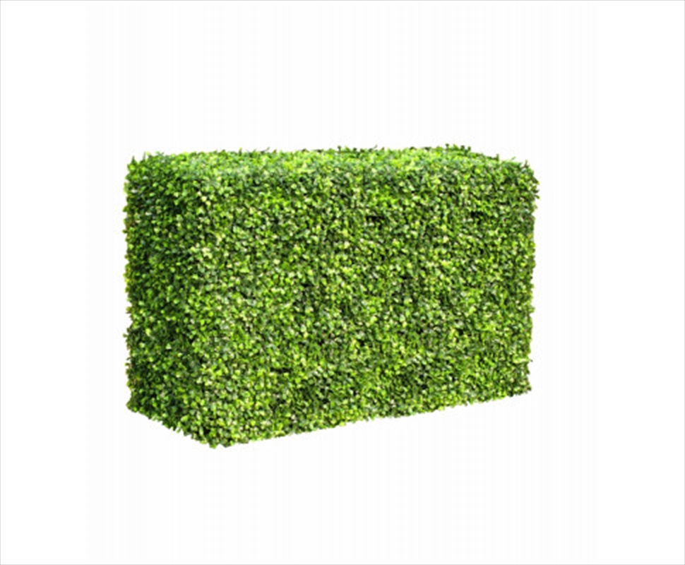 Portable Boxwood Hedge 1m Long 50cm High 30cm Deep/Product Detail/Sport & Outdoor