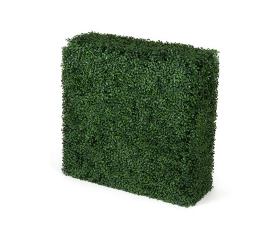 Portable Boxwood Hedge UV Resistant 75CM x 75cm/Product Detail/Sport & Outdoor