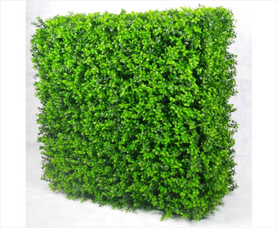 Portable Buxus Hedge UV Stabilised 75cm X 75cm/Product Detail/Sport & Outdoor