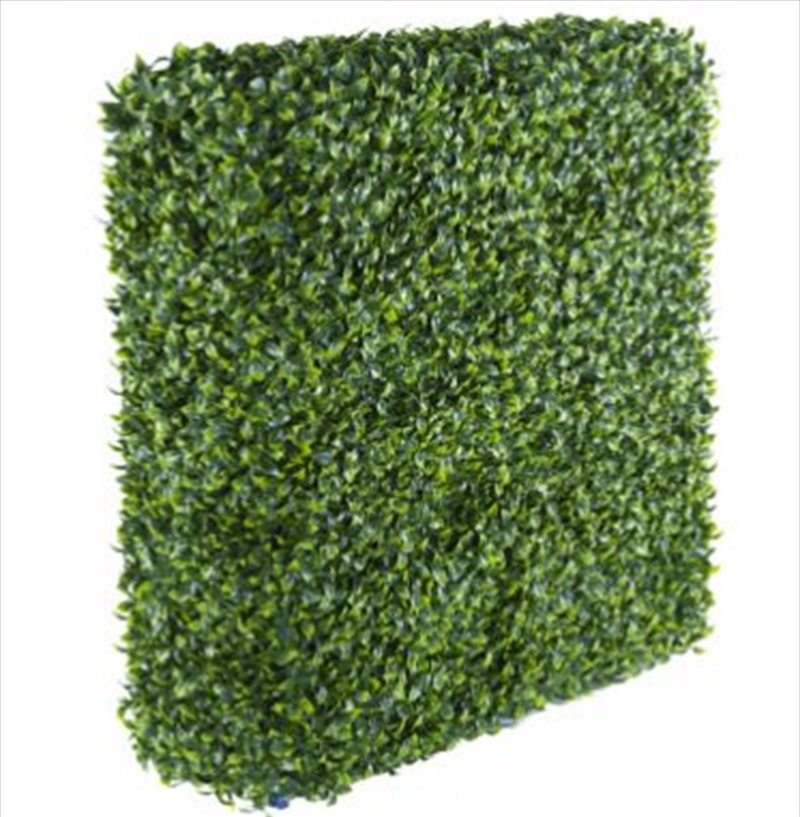 Portable Jasmine Hedge Plant UV Resistant 75cm x 75cm/Product Detail/Sport & Outdoor