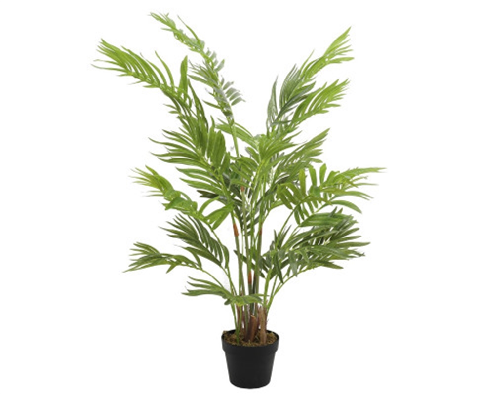 Potted Areca Palm Tree 120cm/Product Detail/Sport & Outdoor