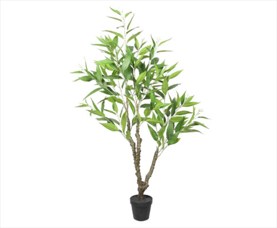 Potted Eucalyptus Tree 120cm/Product Detail/Sport & Outdoor