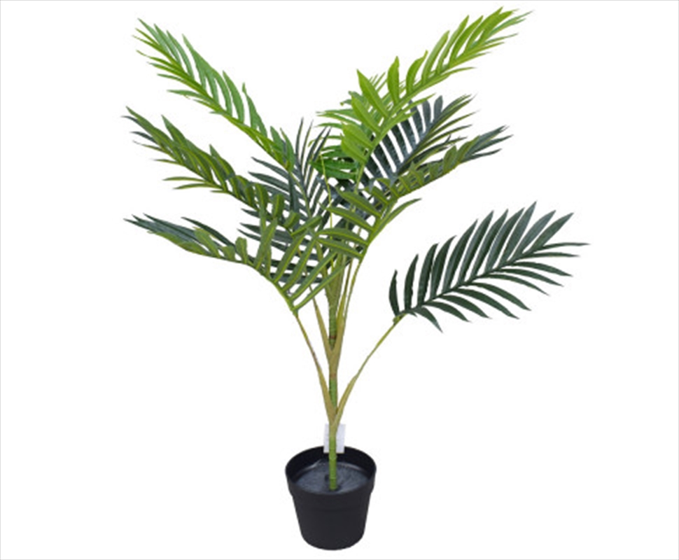 Potted Mountain Palm 100cm/Product Detail/Sport & Outdoor