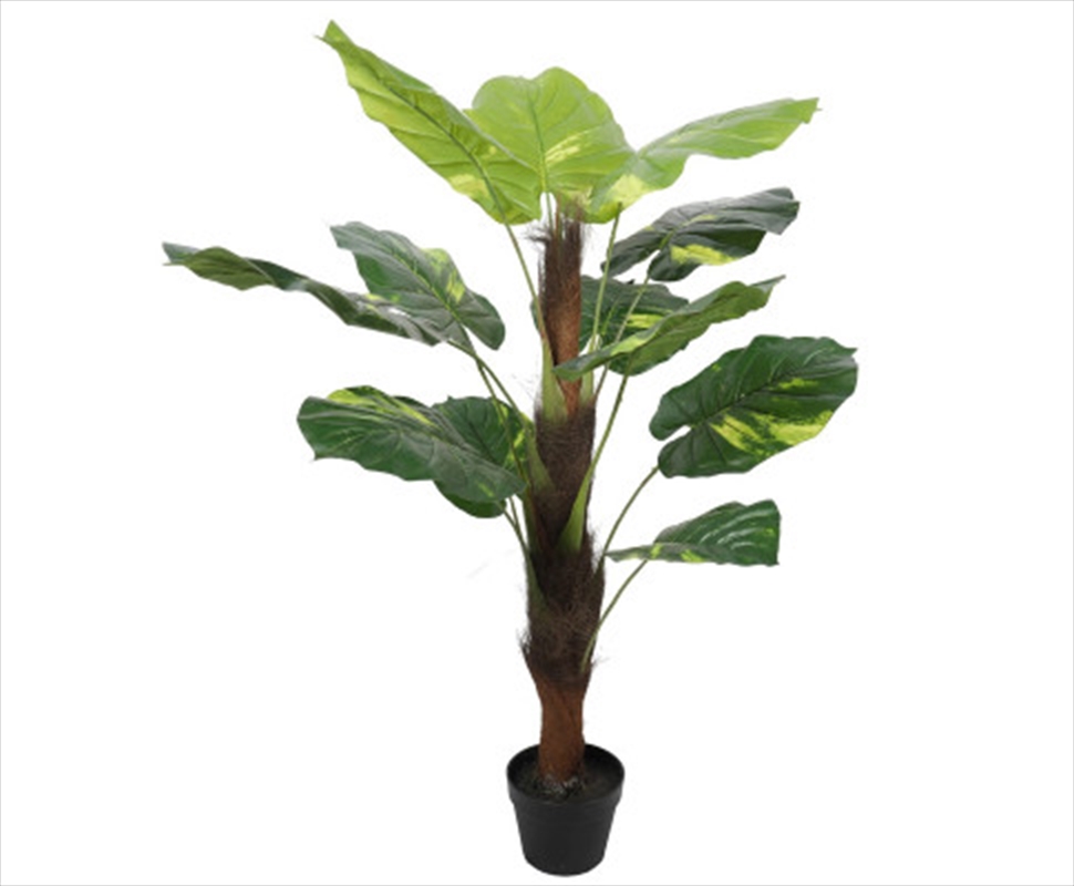 Potted Pothos Plant With Pole 100cm/Product Detail/Sport & Outdoor