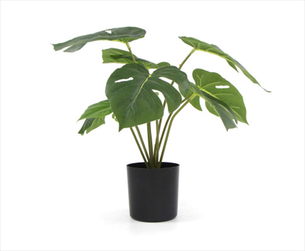 Potted Split Philodendron Plant With Real Touch Leaves 35cm/Product Detail/Sport & Outdoor