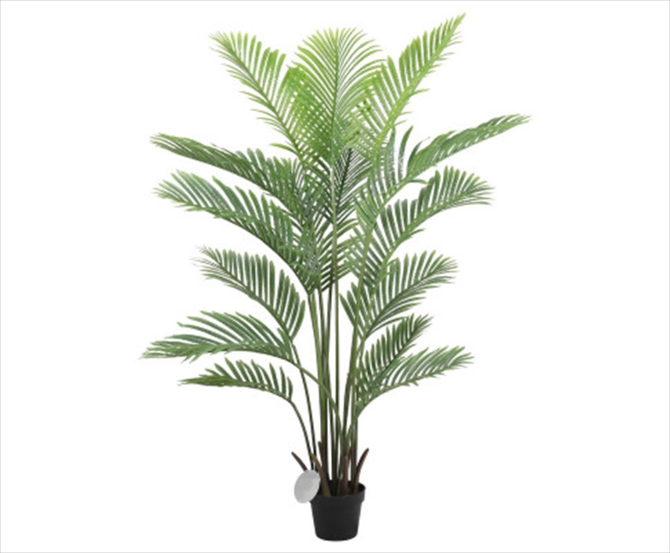 Premareca Palm Tree Real Touch 160cm/Product Detail/Sport & Outdoor