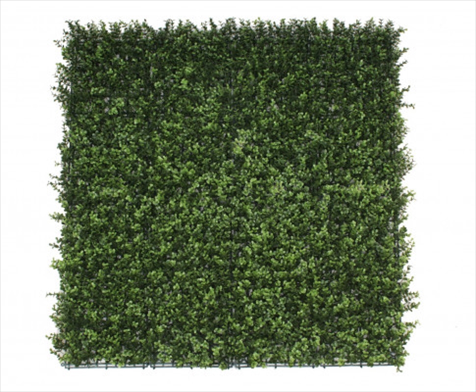 Premnatural Buxus Hedge Panels V Resistant 1m x 1m/Product Detail/Sport & Outdoor