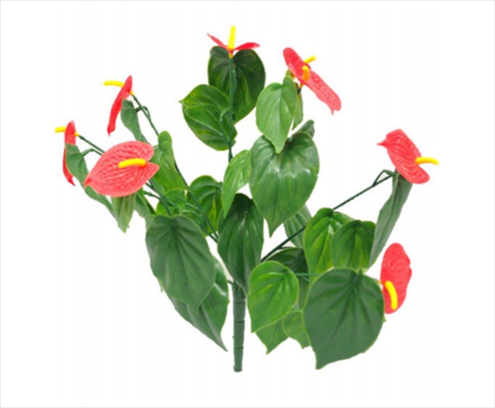 Red Anthurium Stem UV Resistant 35cm/Product Detail/Sport & Outdoor