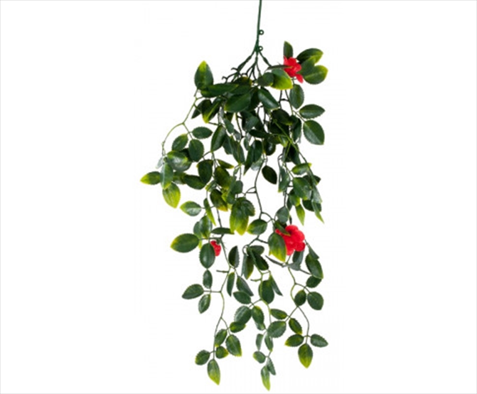 Red Mixed Hanging Foliage Uv 60cm/Product Detail/Sport & Outdoor