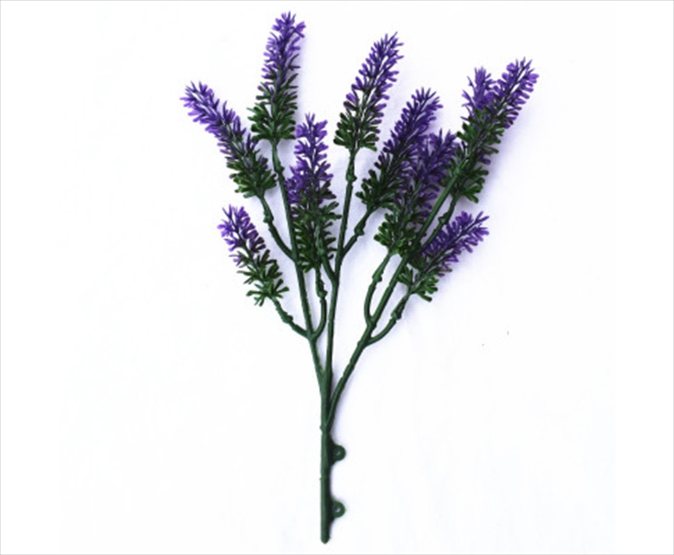 Small Lavender Wall Plant 26cm/Product Detail/Sport & Outdoor