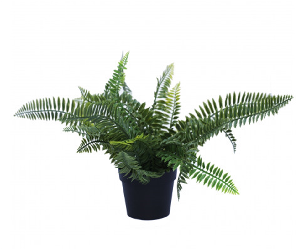 Small Potted Dark Green Fern Plant UV Resistant 20cm/Product Detail/Sport & Outdoor