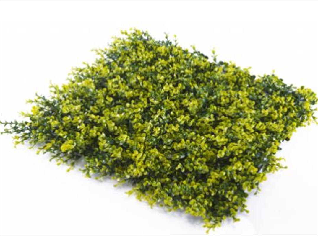 Super Clearance Uv Yellow Buxus Mats 1m x 1m/Product Detail/Sport & Outdoor