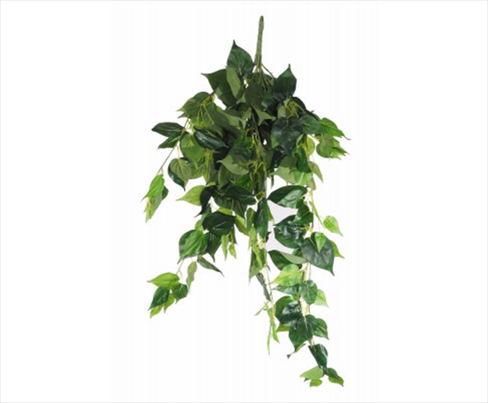 Uv Philodendron Garland Bush 100cm/Product Detail/Sport & Outdoor