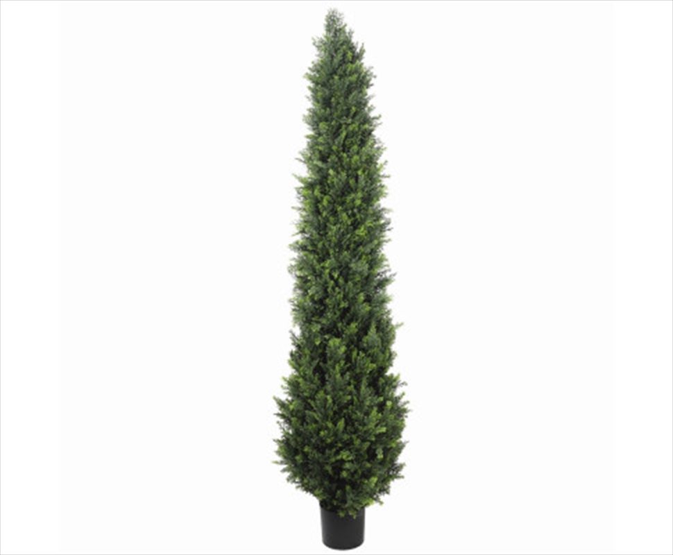 Uv Resistant Cypress Pine Tree 2.1m/Product Detail/Sport & Outdoor