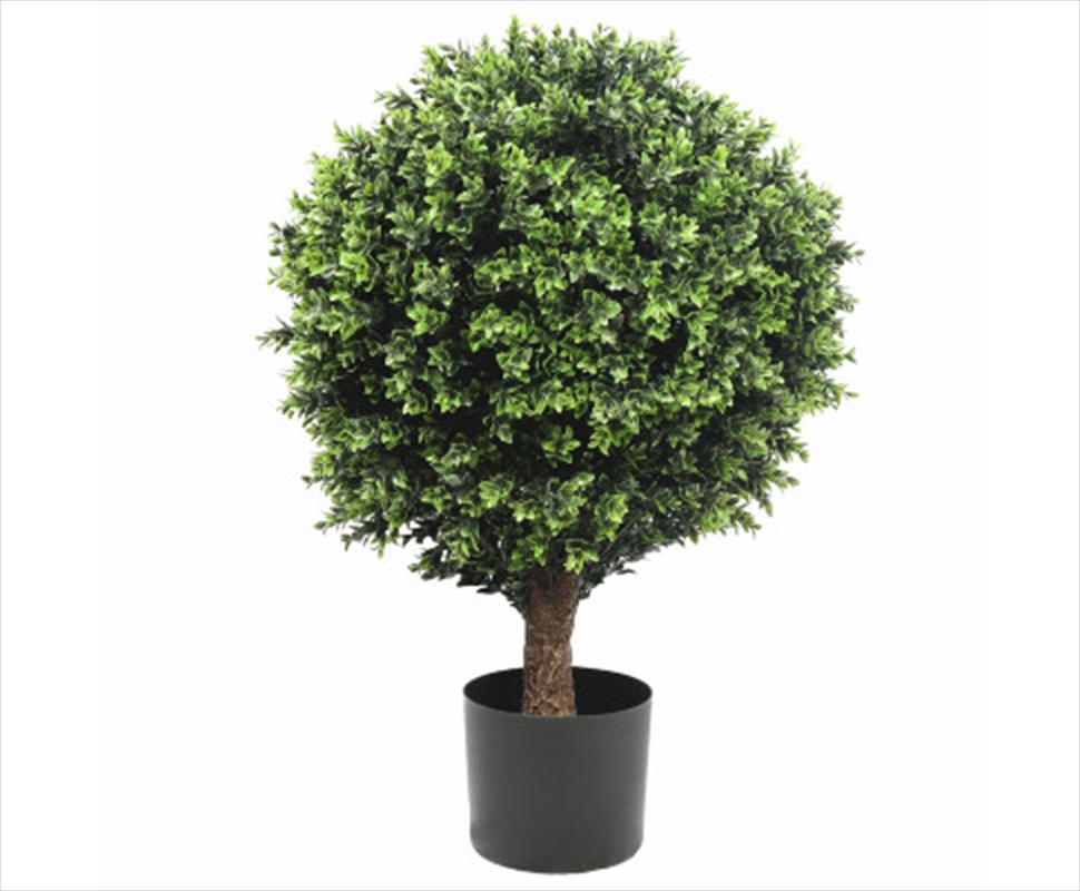 Uv Resistant Topiary Shrub Hedyotis 80cm/Product Detail/Sport & Outdoor