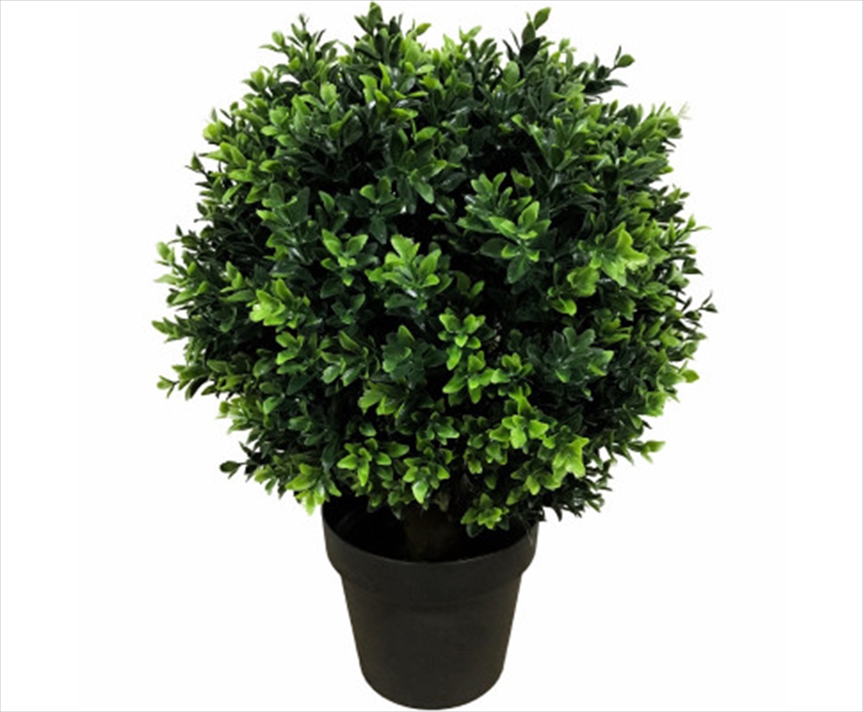 Uv Resistant Topiary Shrub Hedyotis 50cm Mixed Green/Product Detail/Sport & Outdoor