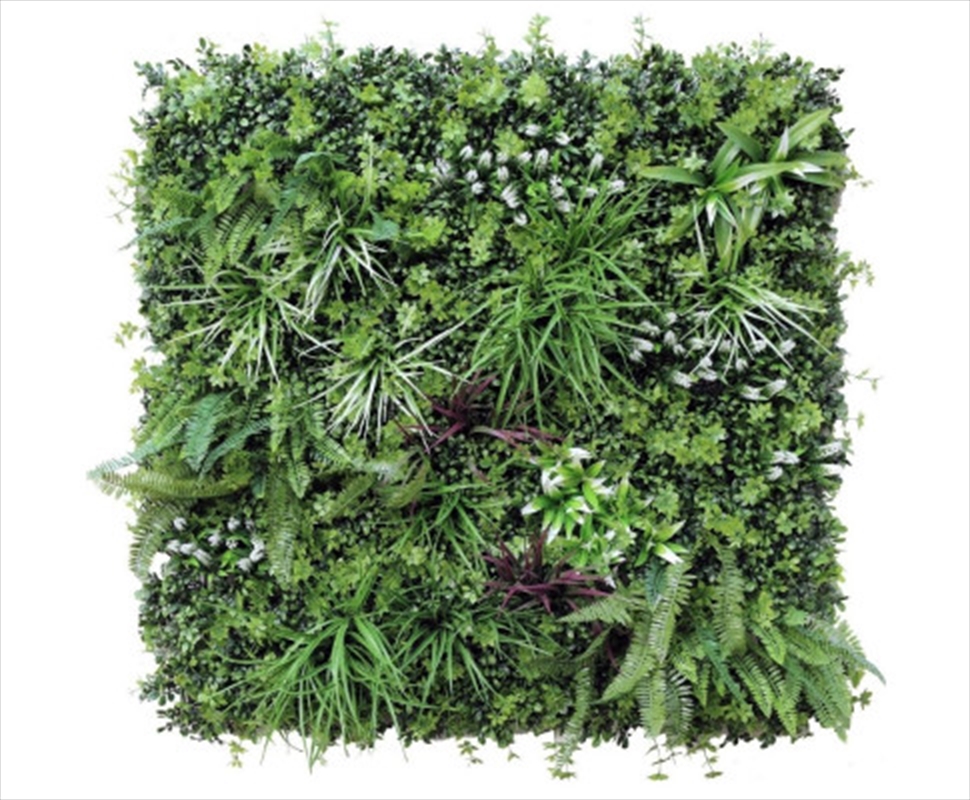 Vista Green Vertical Garden Green Wall UV Resistant 100cm x 100cm/Product Detail/Sport & Outdoor