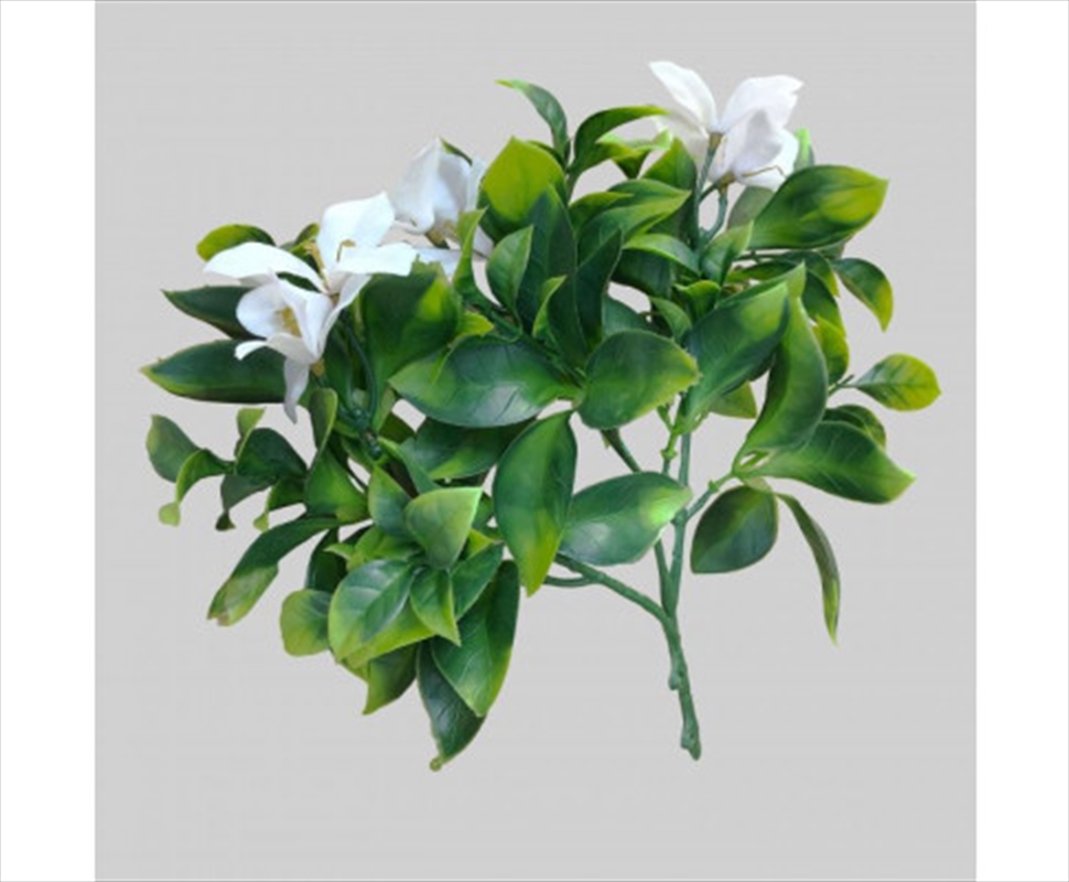 White Flowering Jasmine Stem UV Resistant 30cm/Product Detail/Sport & Outdoor