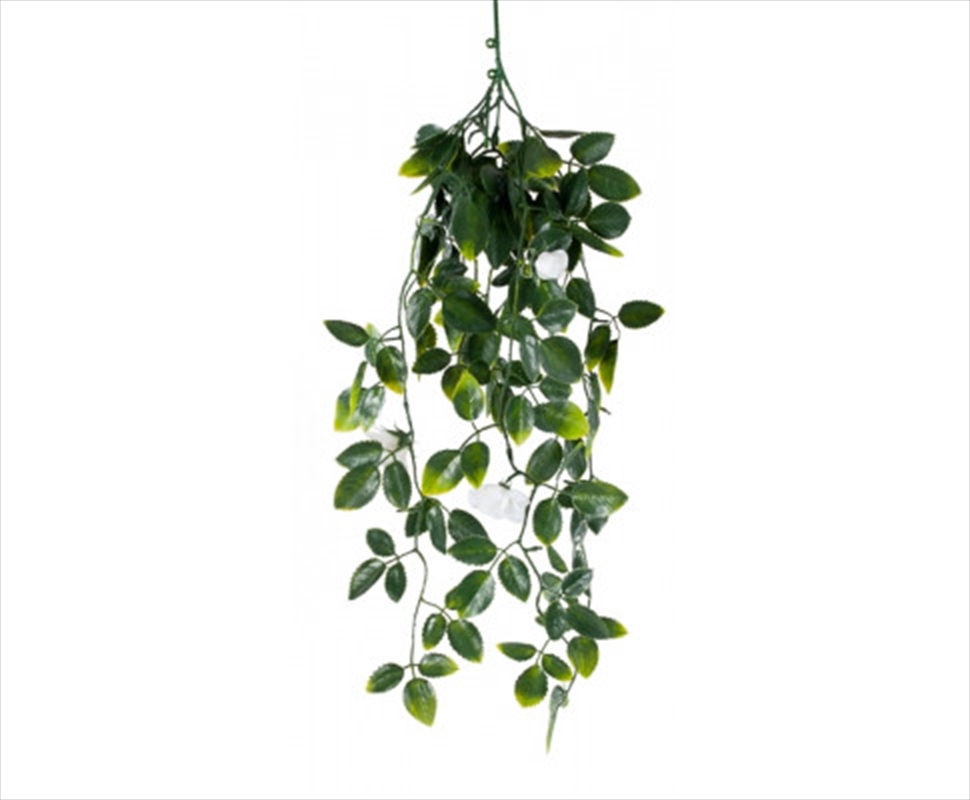 White Mixed Hanging Foliage UV 60cm/Product Detail/Sport & Outdoor