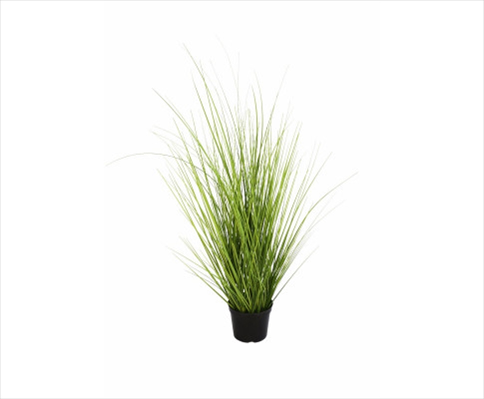 Wild Grass Plant 70cm/Product Detail/Sport & Outdoor