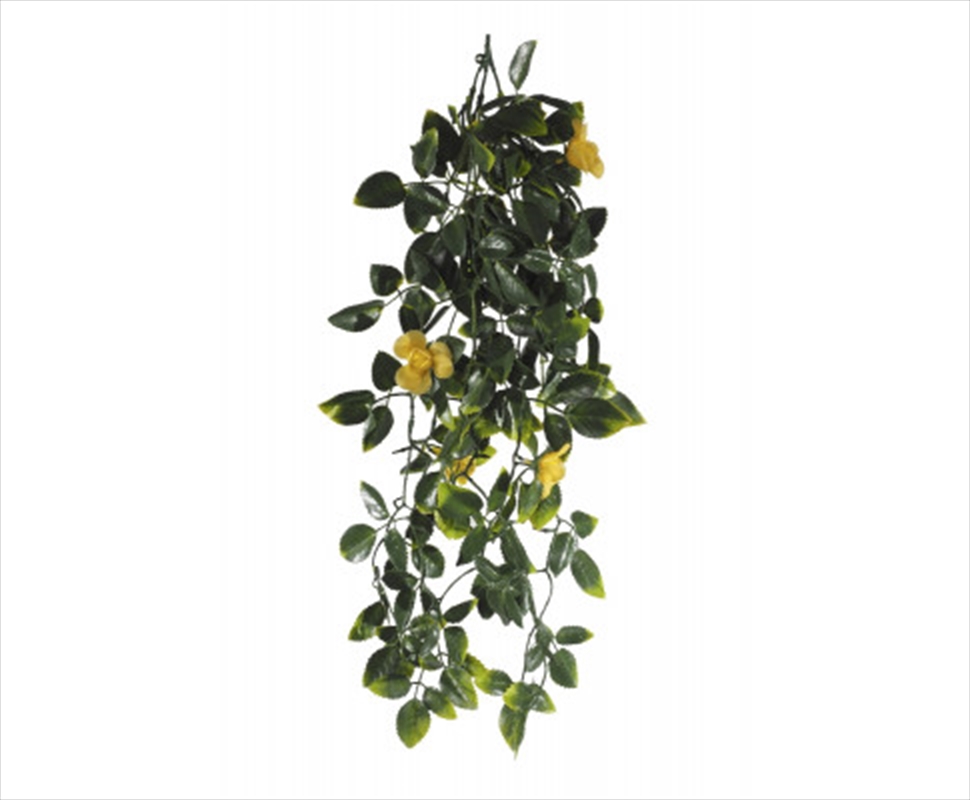 Yellow Mixed Hanging Foliage UV 60cm/Product Detail/Sport & Outdoor