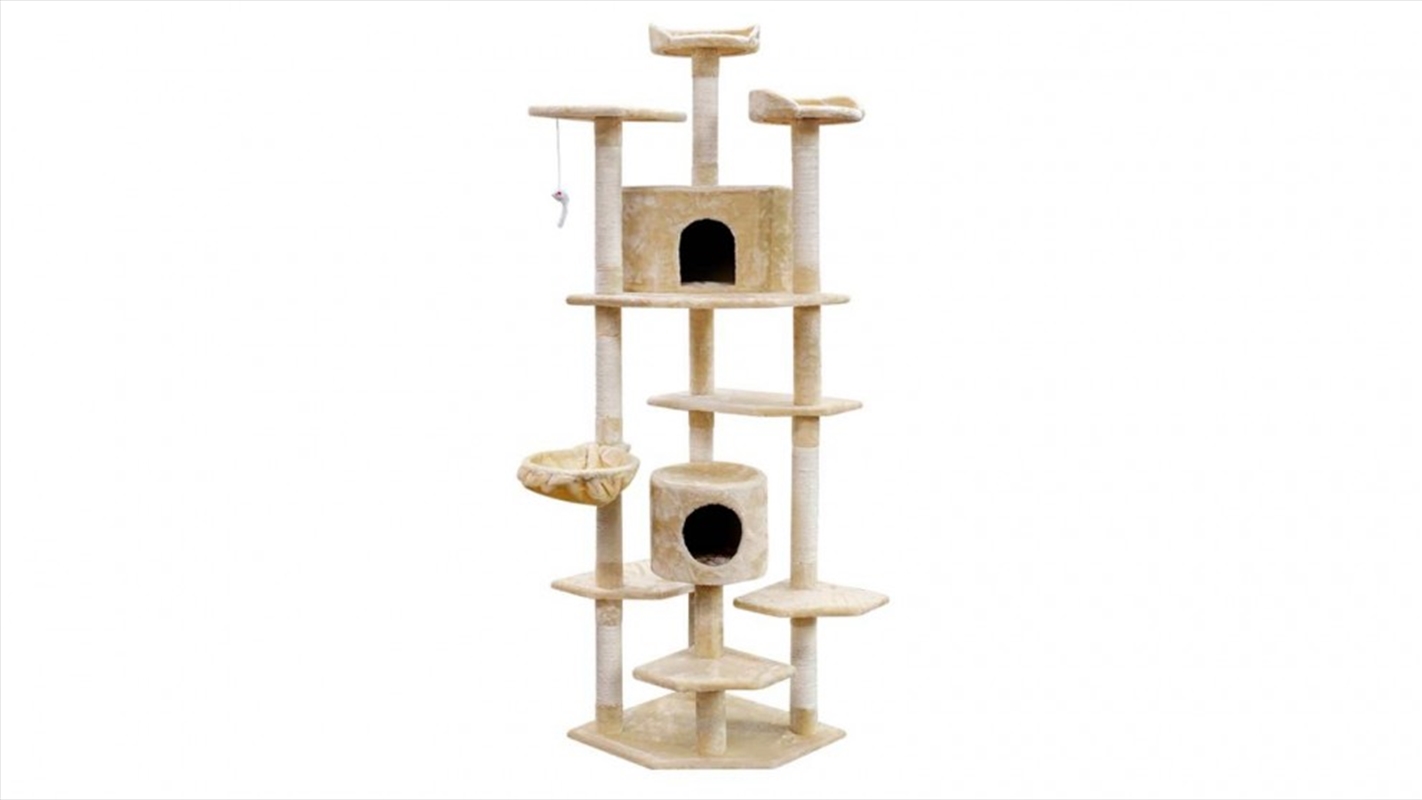 Cat Tree 203cm Scratching Beige/Product Detail/Pet Accessories