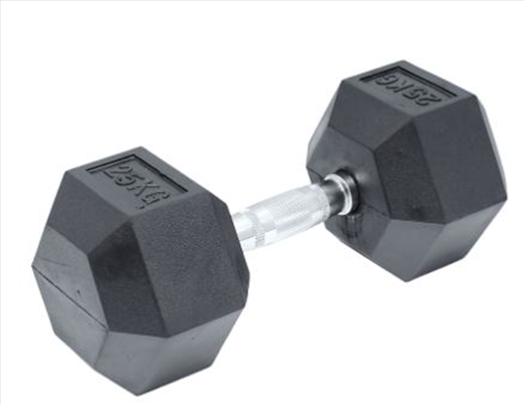 25kg Rubber Hex Dumbbell Gym Weight/Product Detail/Gym Accessories