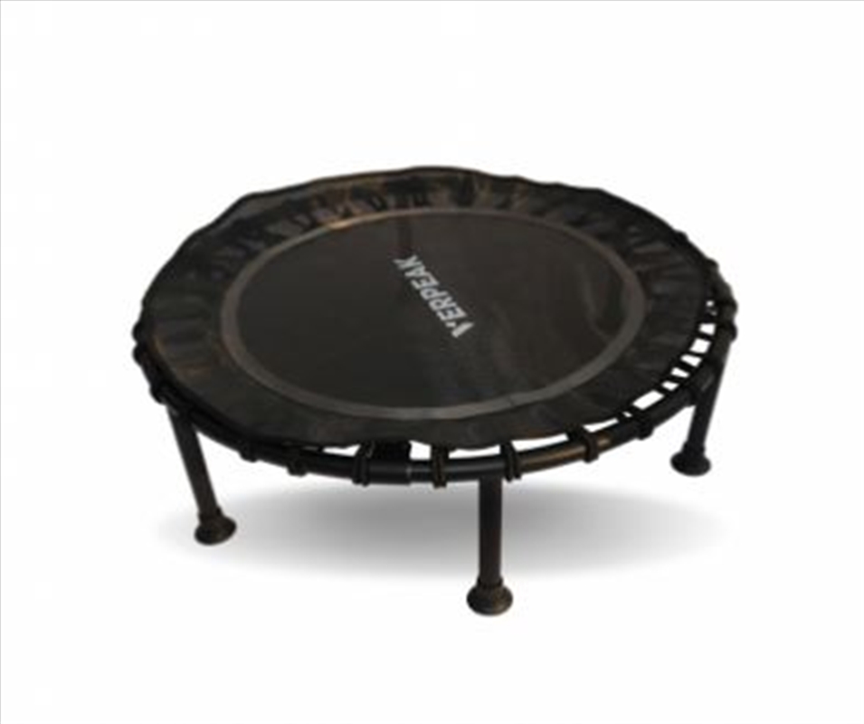 Fitness Trampoline 40"/Product Detail/Gym Accessories