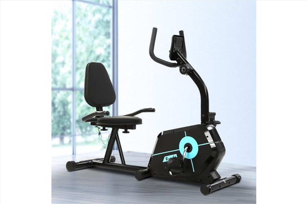 Magnetic Recumbent Exercise Bike/Product Detail/Gym Accessories