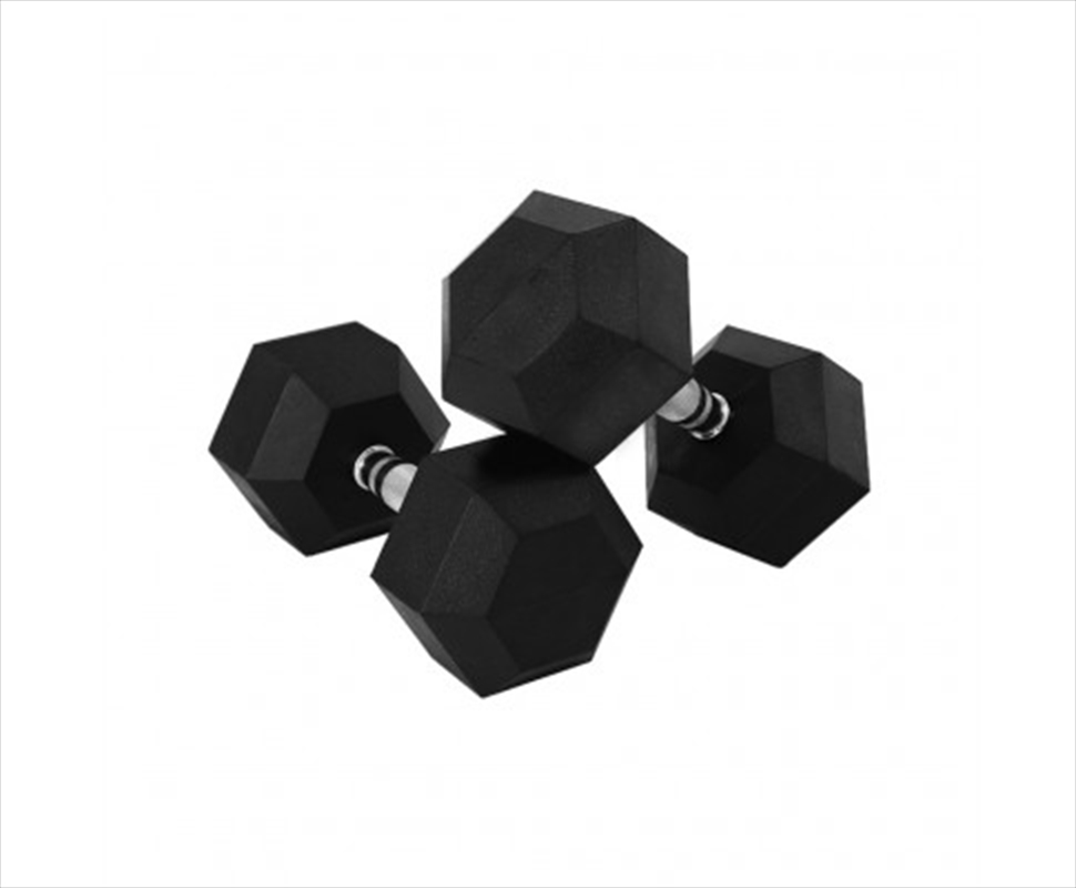 Rubber Hex Dumbbells 10kg X 2/Product Detail/Gym Accessories