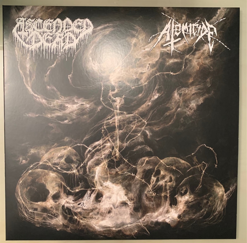 Ascended Dead/Atomicide/Product Detail/Rock/Pop