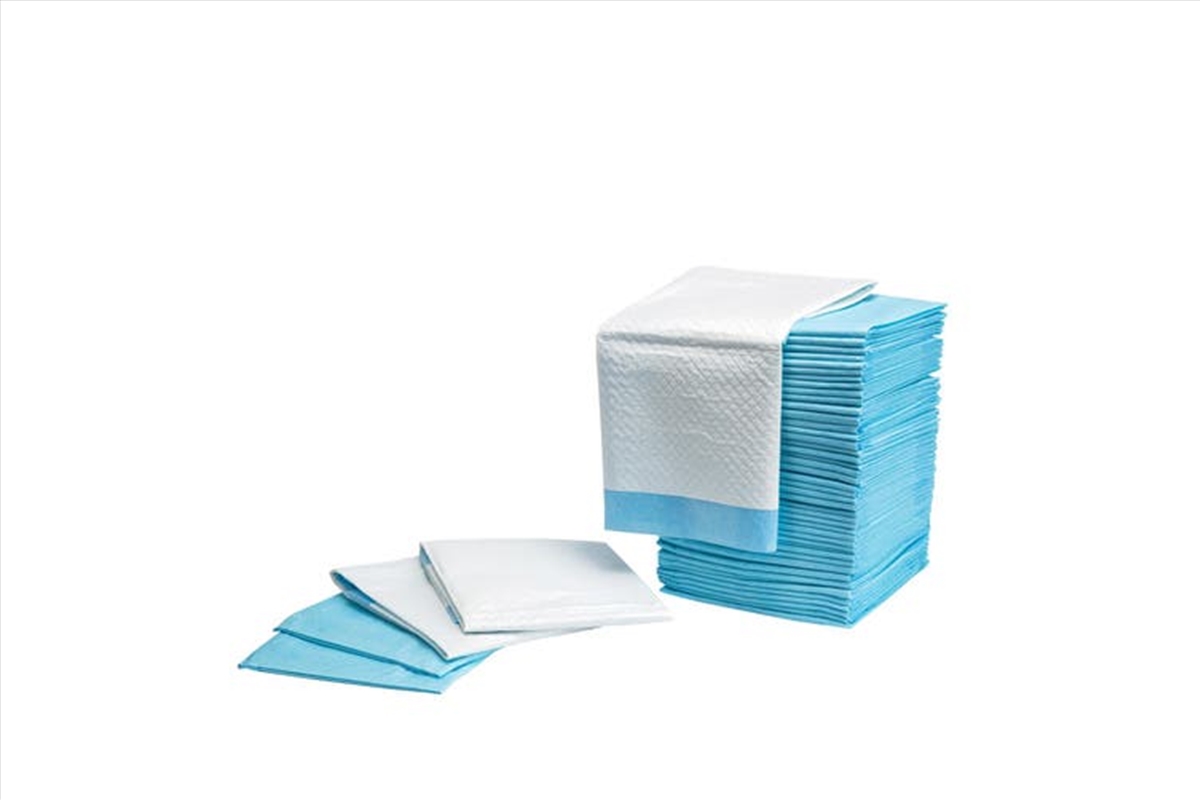 400pcs Pet Potty Training Toilet Mat Pads - Blue/Product Detail/Pet Accessories