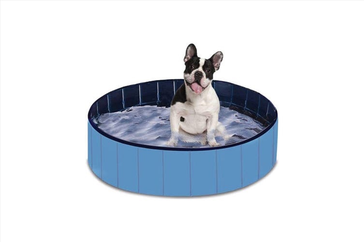 Leak-proof Blue Plain Foldable 160cmx30cm PVC Pet Swimming Pool/Product Detail/Pet Accessories