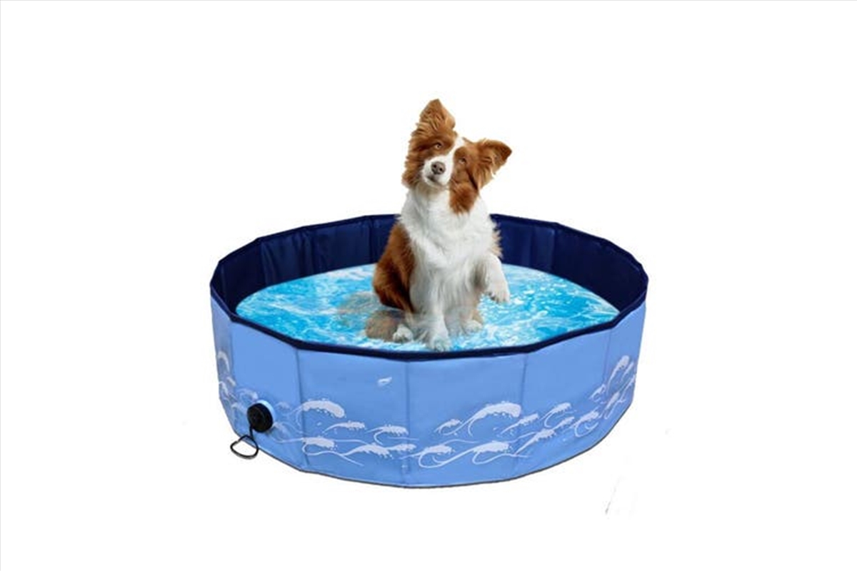 Leak-proof Blue Wave Foldable 120cmx30cm PVC Pet Swimming Pool/Product Detail/Pet Accessories