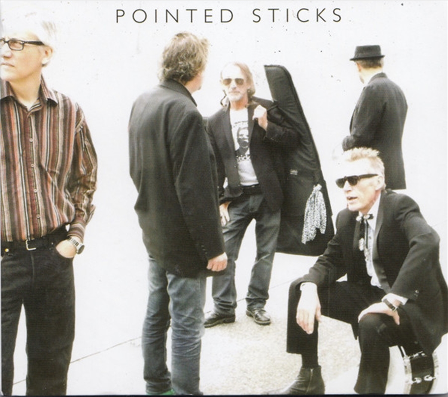 Pointed Sticks/Product Detail/Punk