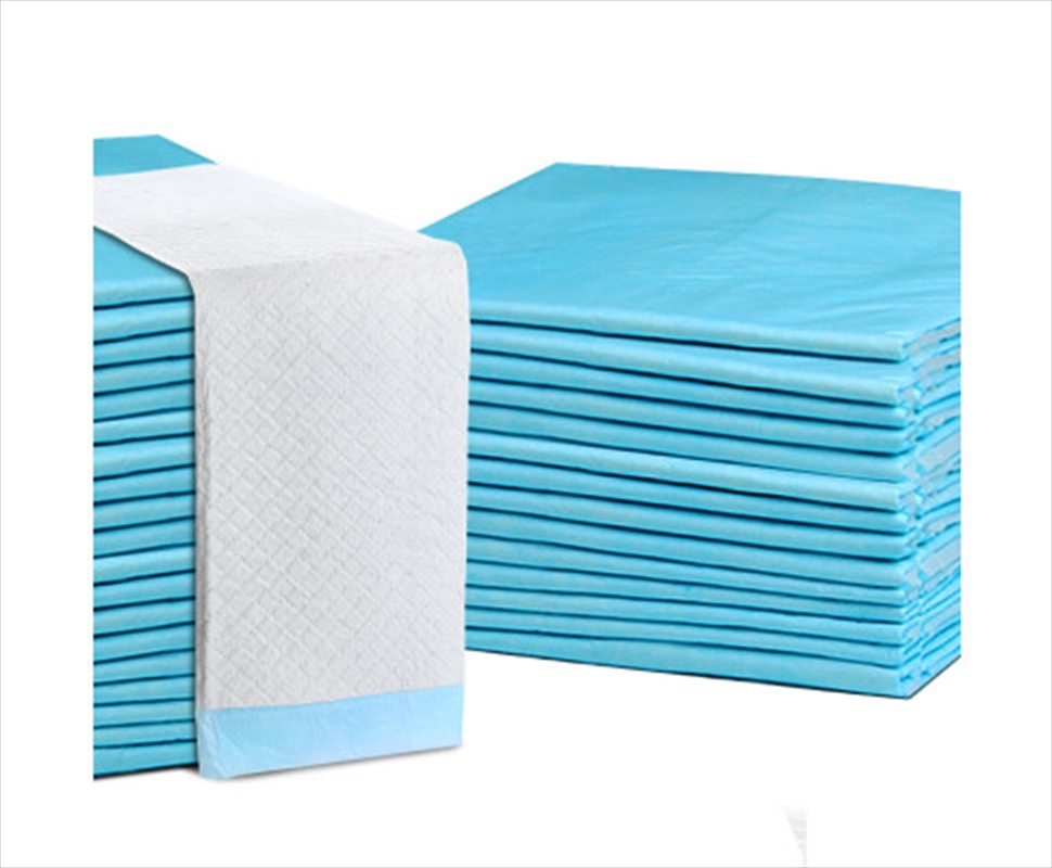 400pcs Puppy Training Pads 60 X 60cm/Product Detail/Pet Accessories