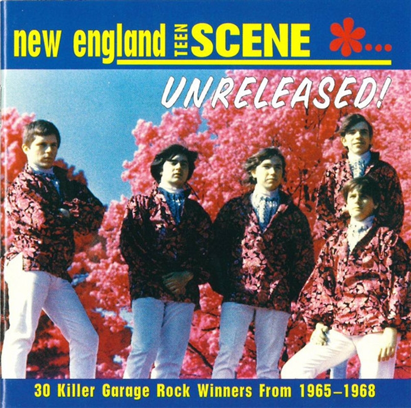 New England Teen Scene: Unrele/Product Detail/Compilation