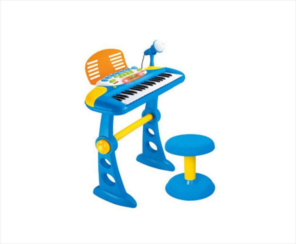 Electronic Keyboard With Stand/Product Detail/Piano & Keyboards