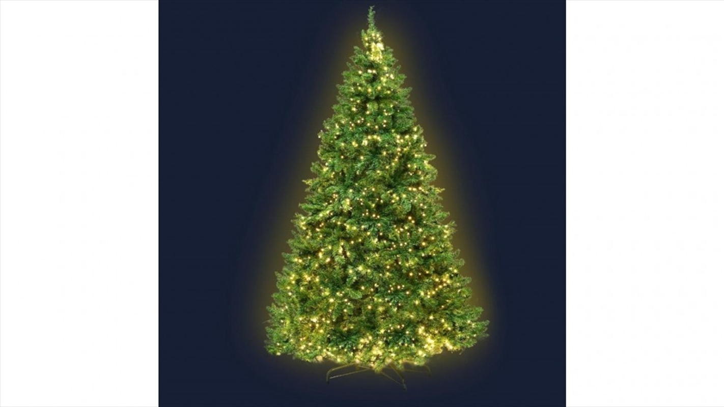 6ft Christmas Tree 874 LED Lights - Warm White Green/Product Detail/Party