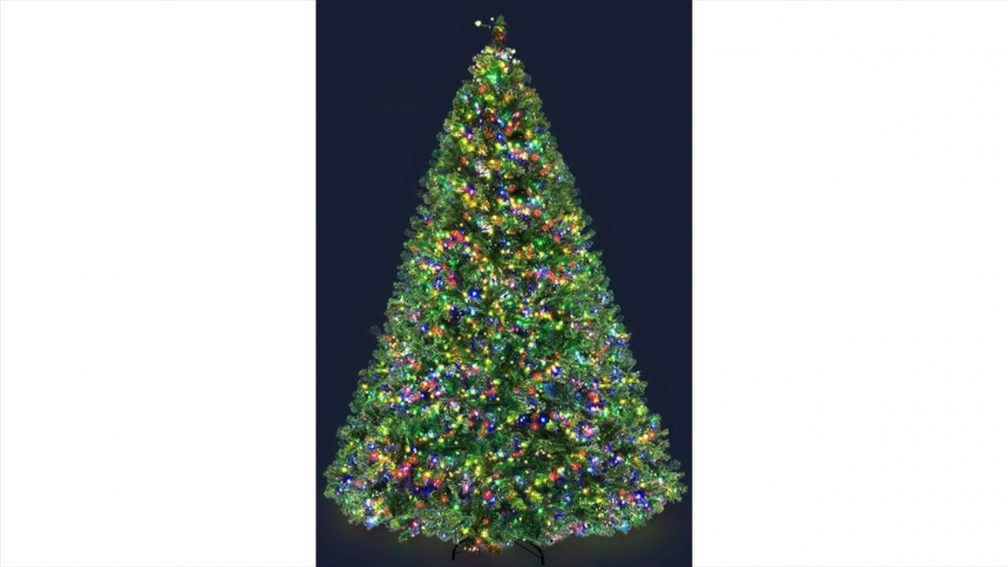 7FT 2.1m 1221 Tips Christmas Tree LED - Multicolour/Product Detail/Party