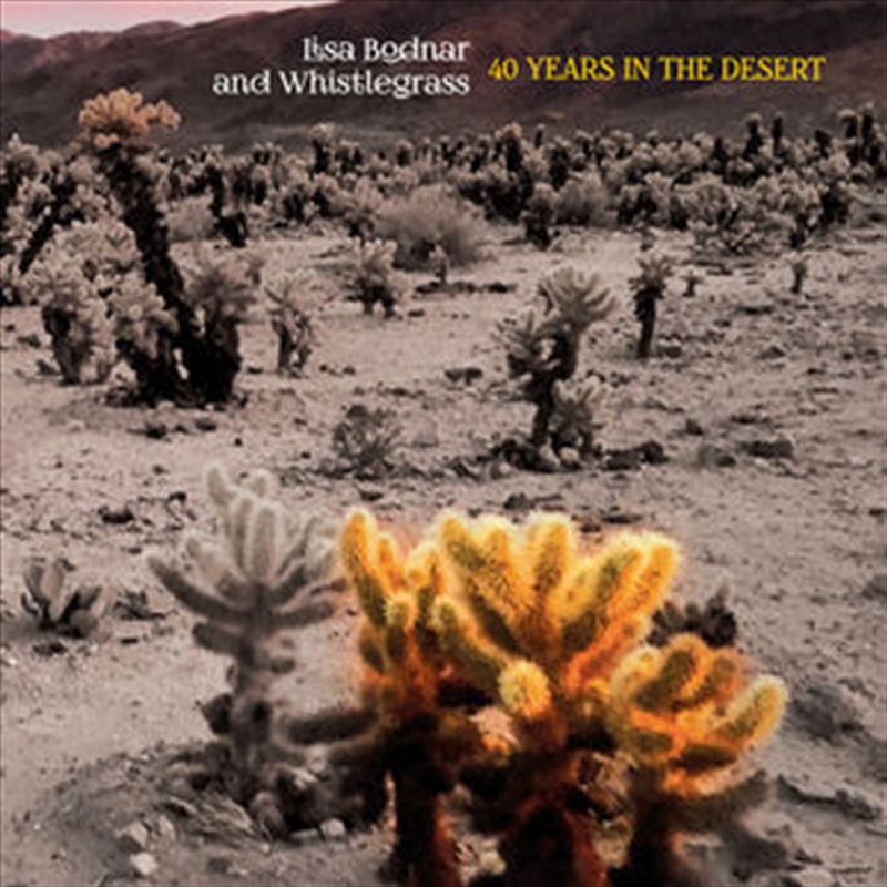 40 Years In The Desert/Product Detail/Rock/Pop