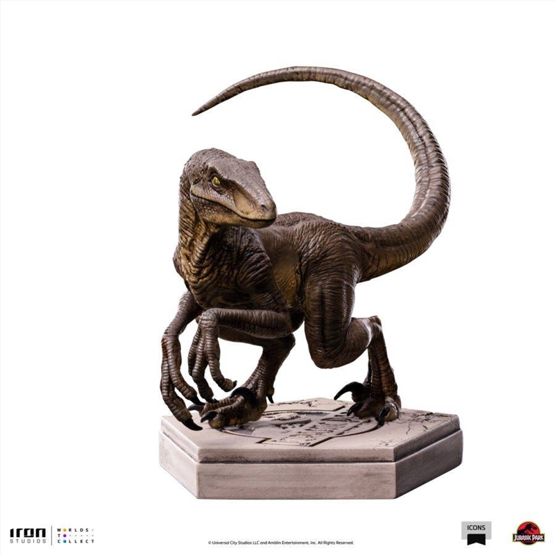 Jurassic Park - Velociraptor C Icons Statue/Product Detail/Statues