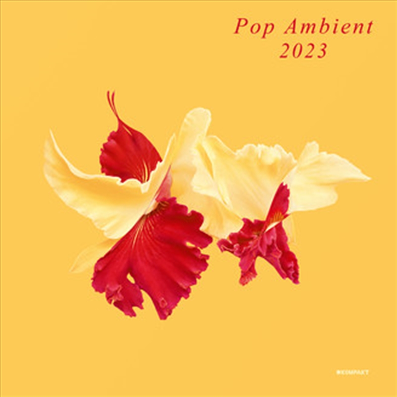 Pop Ambient 2023/Product Detail/Rock/Pop