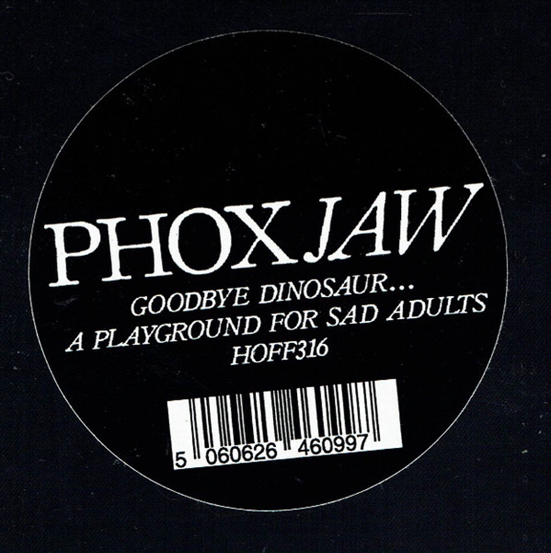 Goodbye Dinosaur // Playground For Sad Adults/Product Detail/Rock