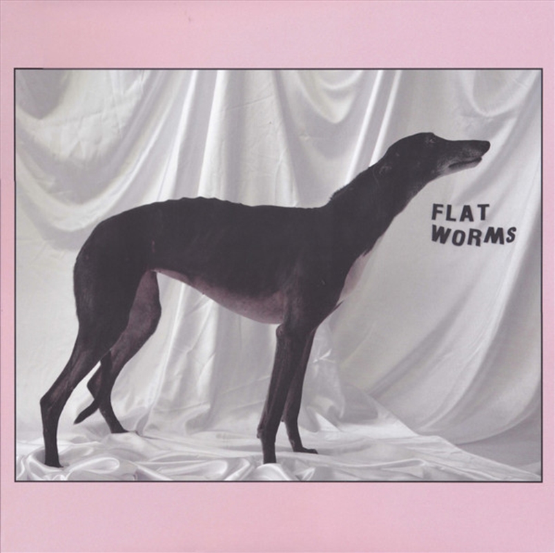 Flat Worms/Product Detail/Rock/Pop