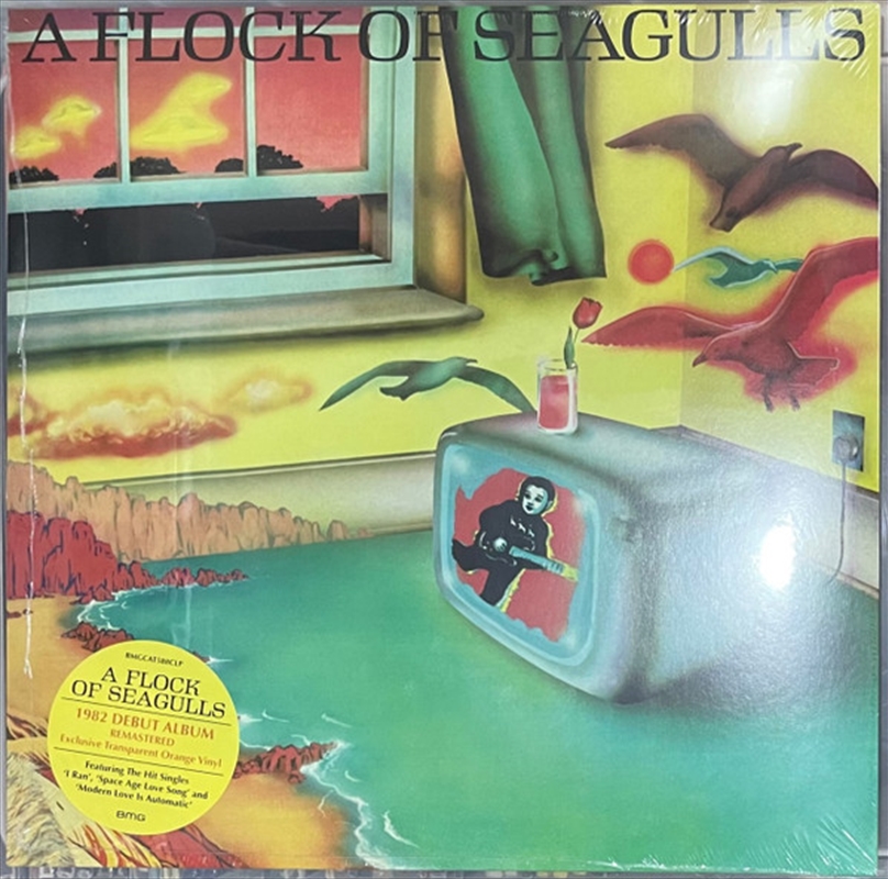 A Flock Of Seagulls/Product Detail/Rock/Pop