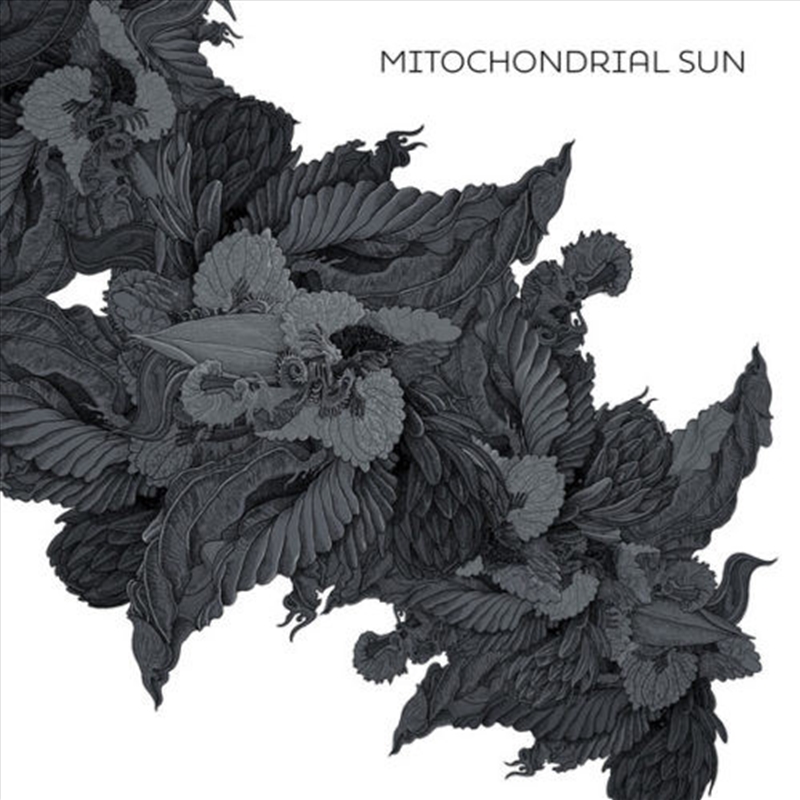 Mitochondrial Sun/Product Detail/Rock/Pop